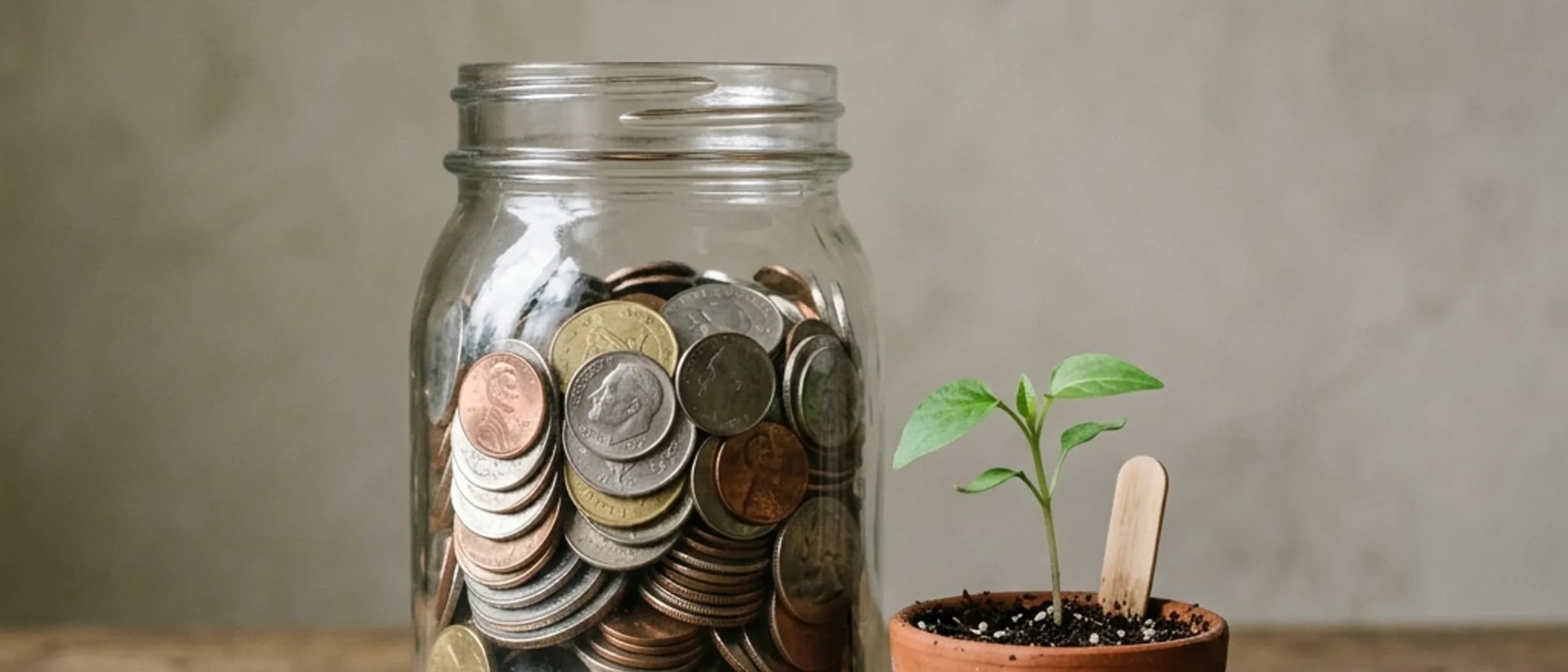 A glass jar of saved coins beside a small green seedling on a sunlit windowsill.